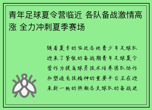 青年足球夏令营临近 各队备战激情高涨 全力冲刺夏季赛场