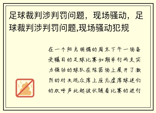 足球裁判涉判罚问题，现场骚动，足球裁判涉判罚问题,现场骚动犯规