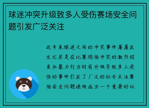 球迷冲突升级致多人受伤赛场安全问题引发广泛关注